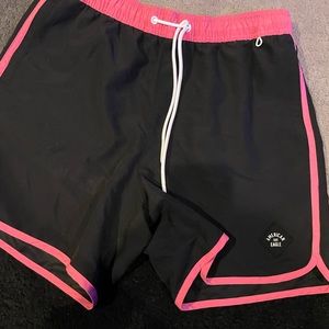 American eagle mens swim trunk
